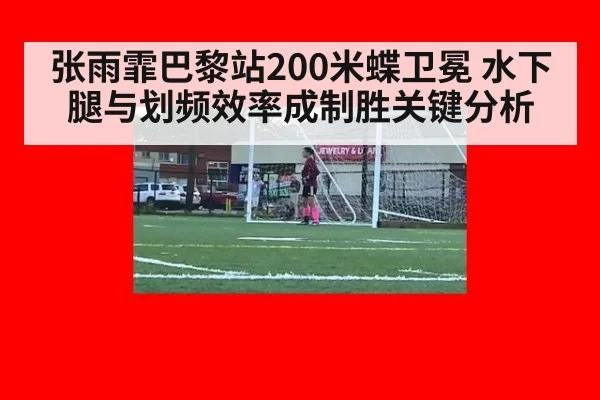 张雨霏巴黎站200米蝶卫冕 水下腿与划频效率成制胜关键分析